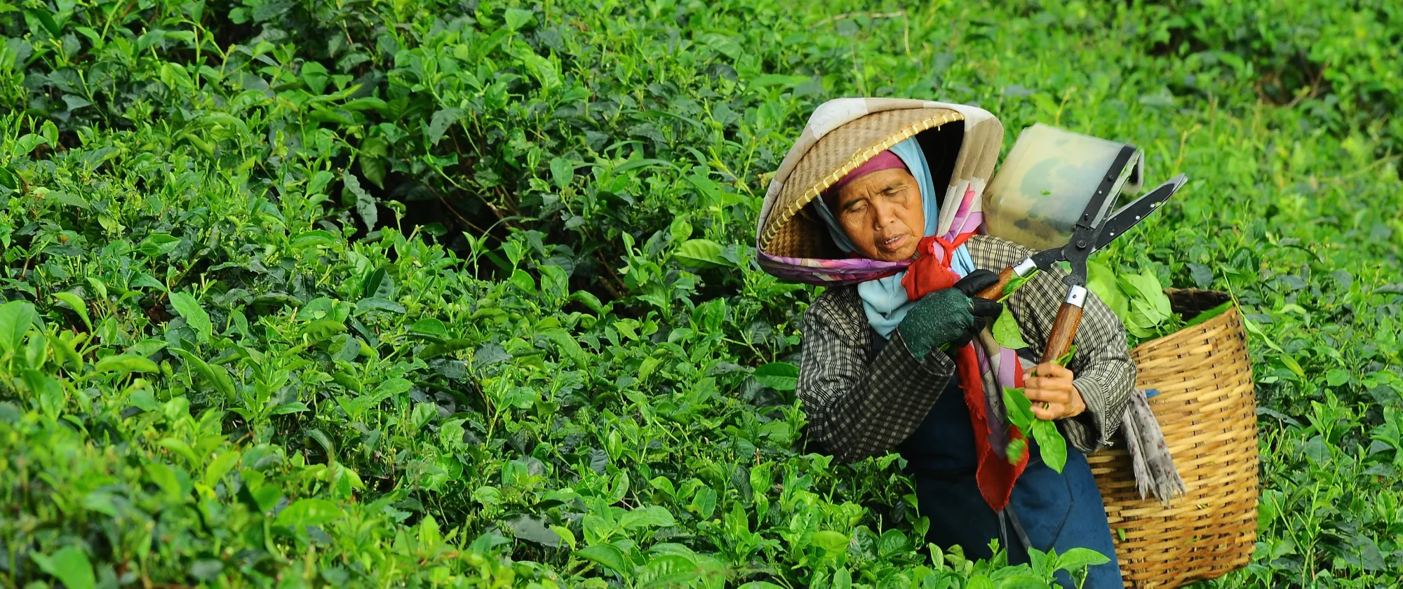 Promoting decent employment for women through inclusive growth policies and investments in care