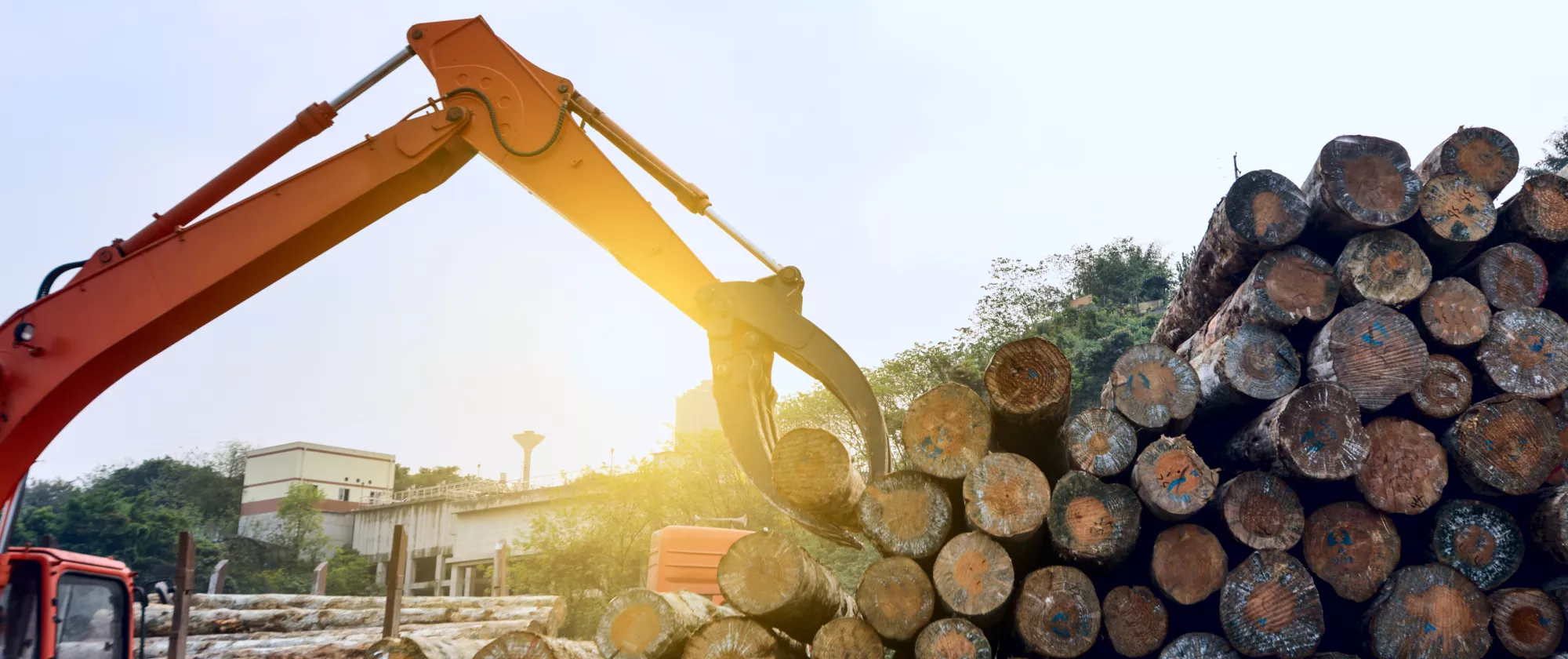 Photo of a crane picking up tree logs at a wood processing factory