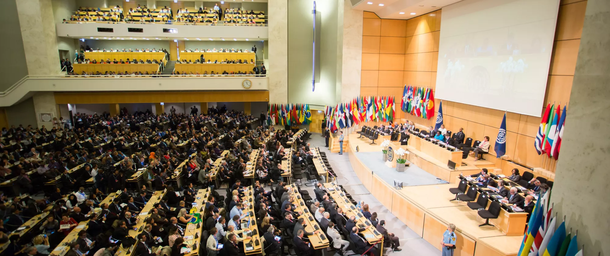 UN assembly hall - ILC plenary