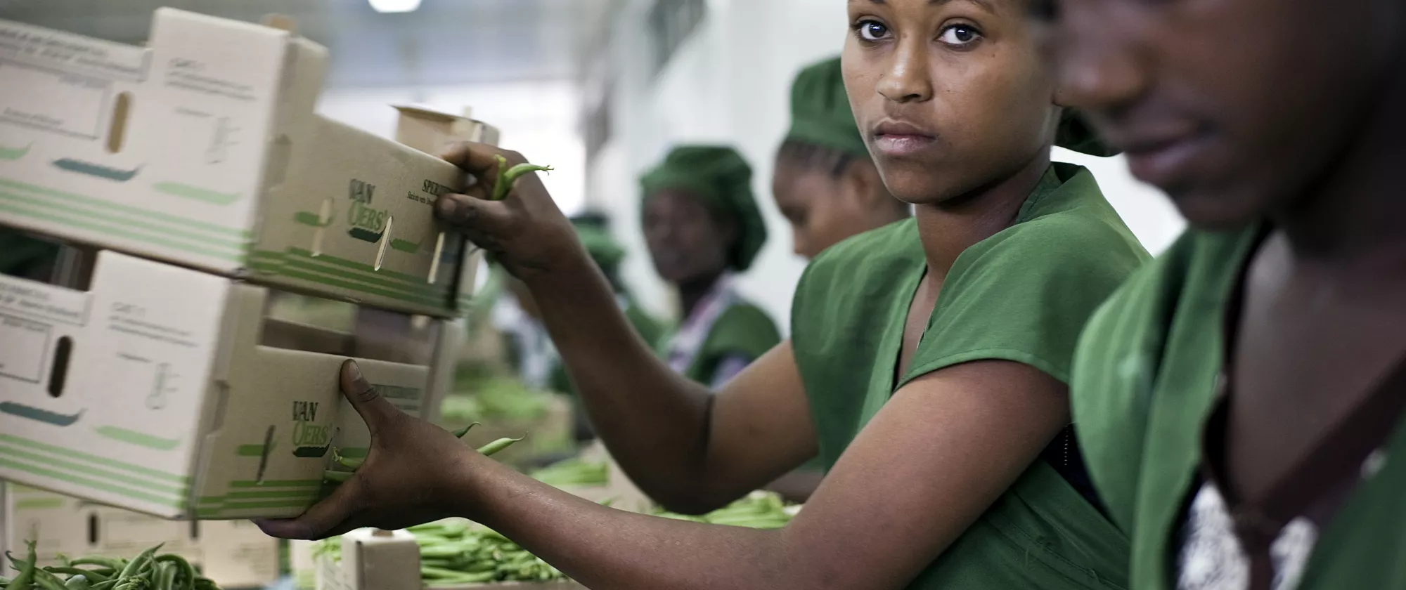 A woman in Africa wearing a green shirt and working in a green beans factory